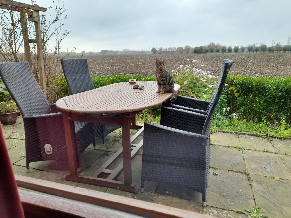 Vila Bie Oans Oefje Lewedorp Exteriér fotografie