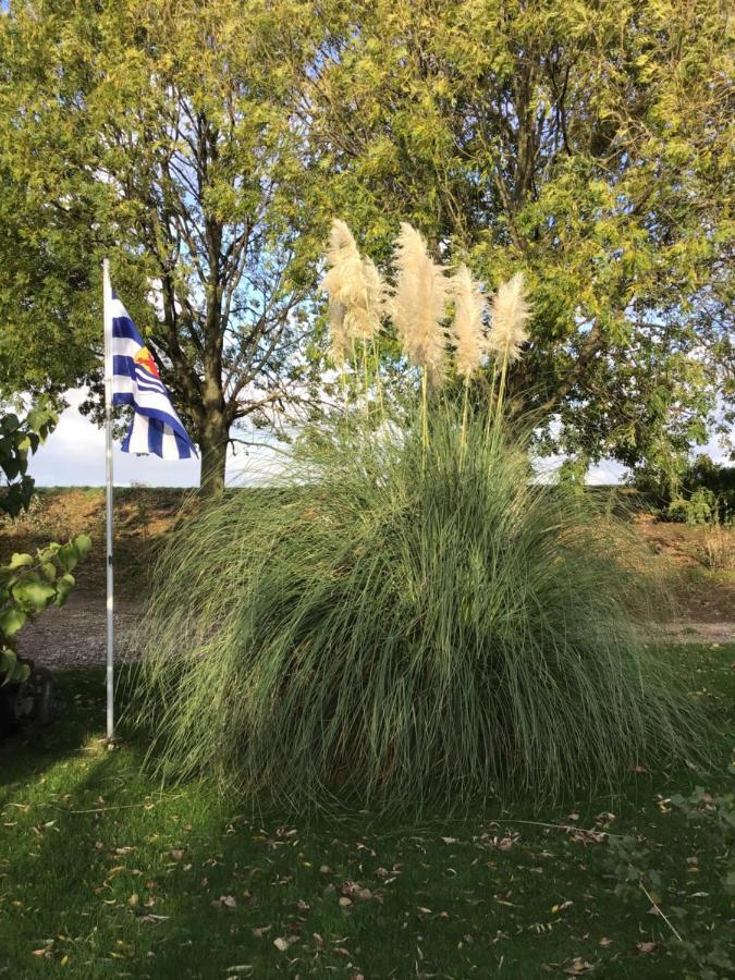 Vila Bie Oans Oefje Lewedorp Exteriér fotografie