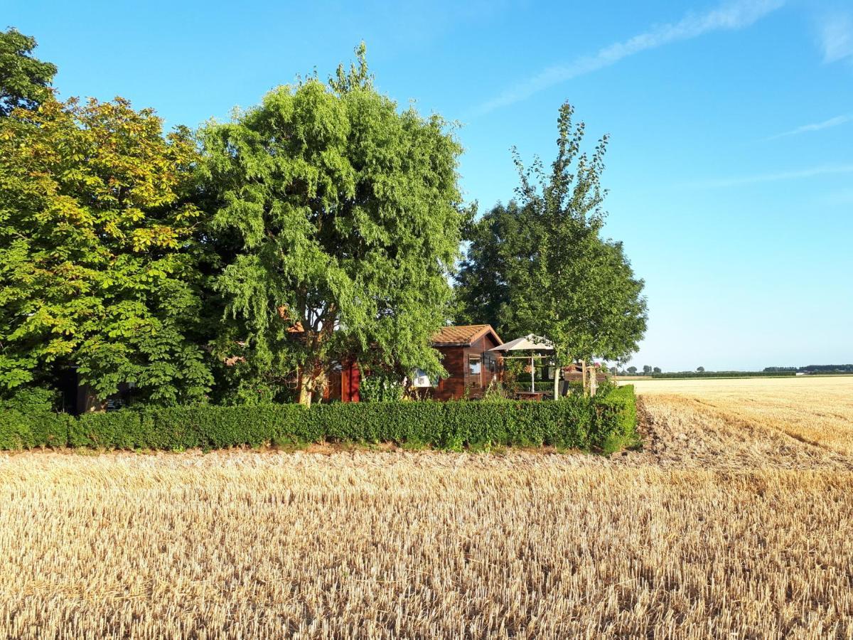 Vila Bie Oans Oefje Lewedorp Exteriér fotografie