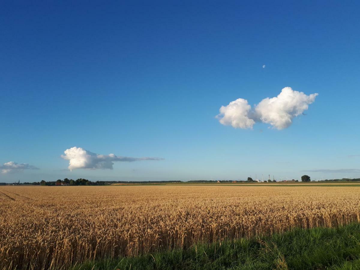Vila Bie Oans Oefje Lewedorp Exteriér fotografie